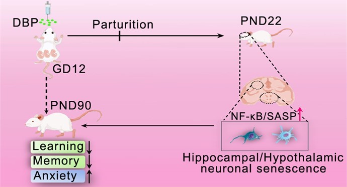 1753164103682056758.jpg 梁景岩-2.jpg
